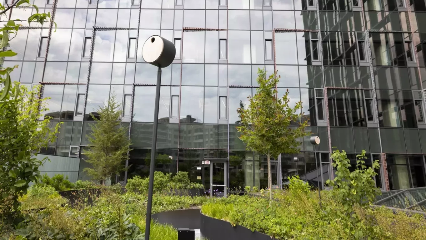 テラスの植え込み